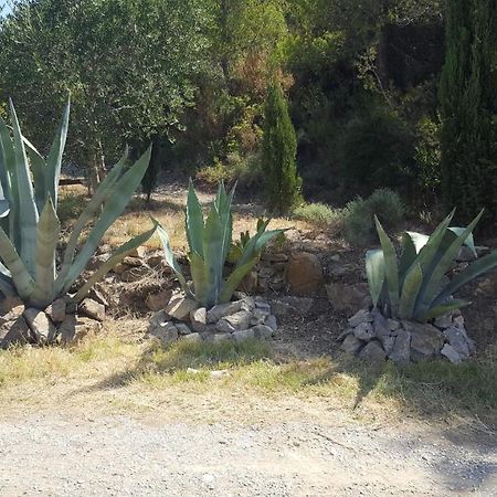 La Loubiere, Ancienne Bergerie En Pleine Garrigue Panzió Fraissé-des-Corbières Kültér fotó