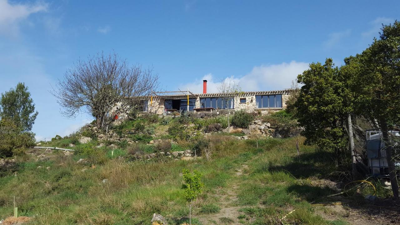 La Loubiere, Ancienne Bergerie En Pleine Garrigue Panzió Fraissé-des-Corbières Kültér fotó