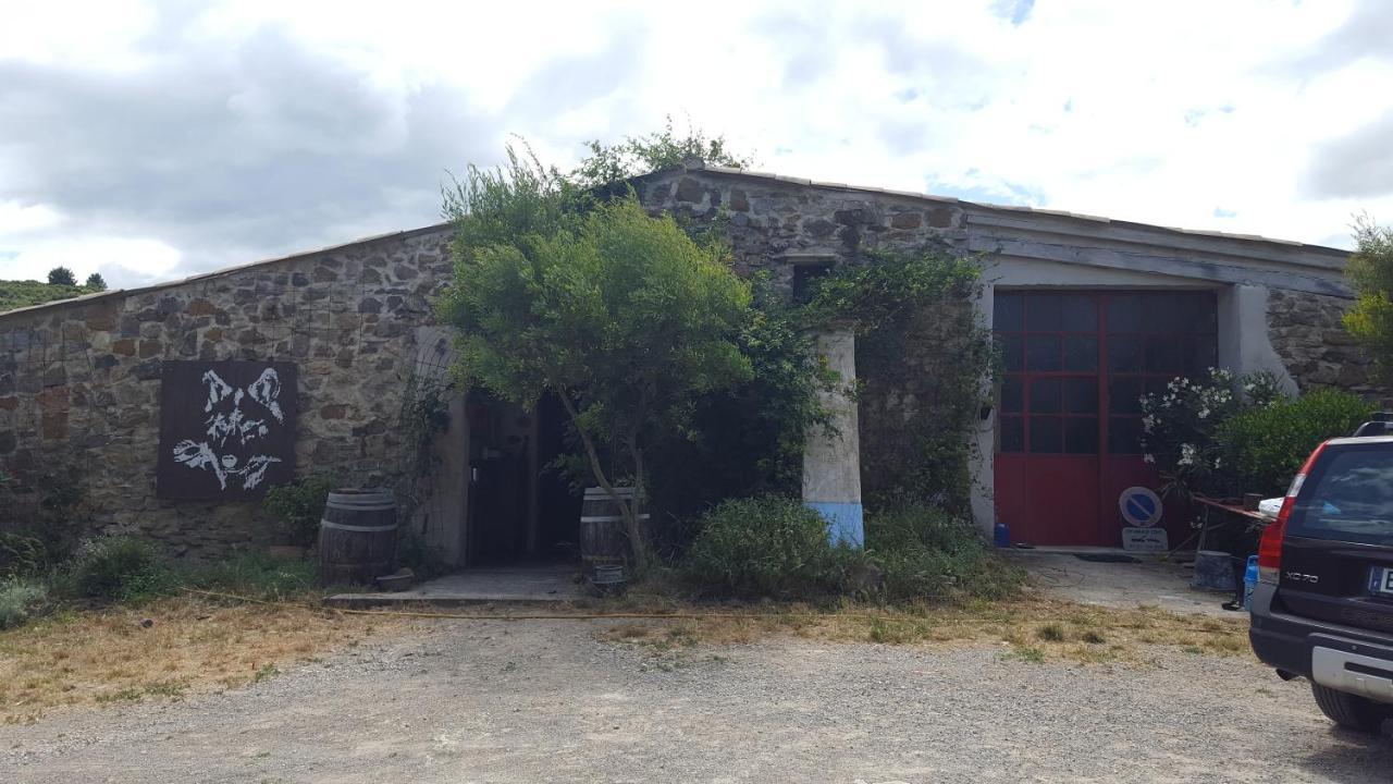 La Loubiere, Ancienne Bergerie En Pleine Garrigue Panzió Fraissé-des-Corbières Kültér fotó