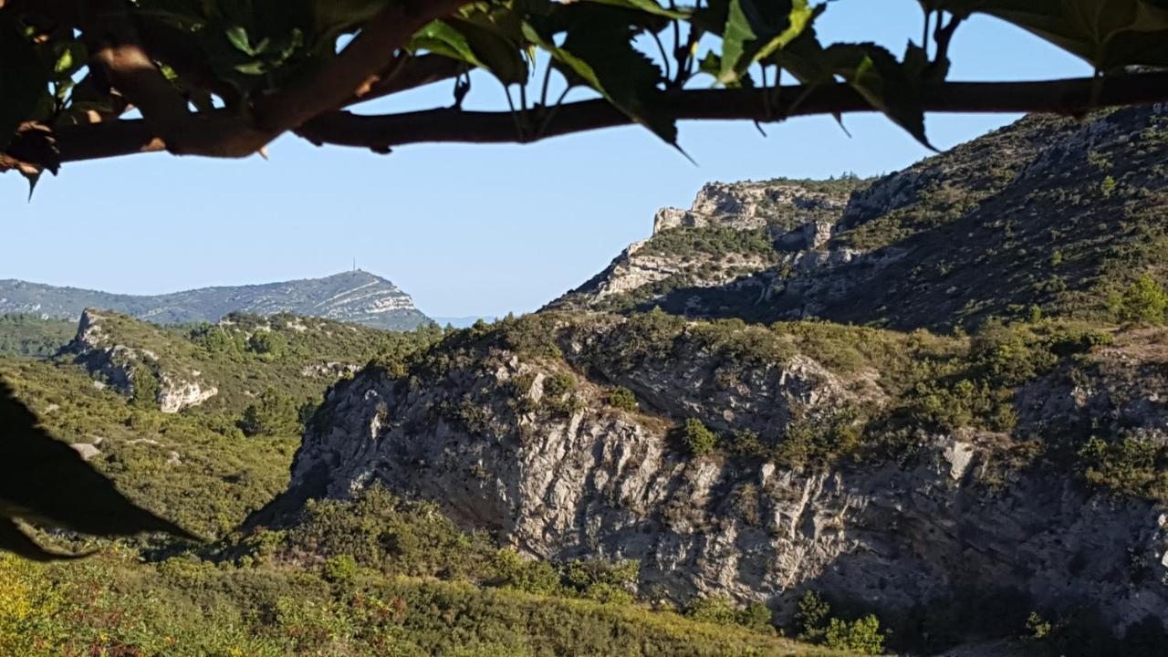 La Loubiere, Ancienne Bergerie En Pleine Garrigue Panzió Fraissé-des-Corbières Kültér fotó