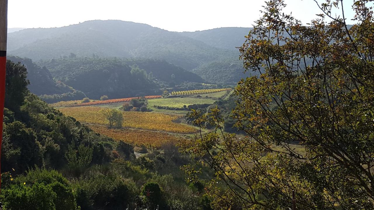 La Loubiere, Ancienne Bergerie En Pleine Garrigue Panzió Fraissé-des-Corbières Kültér fotó