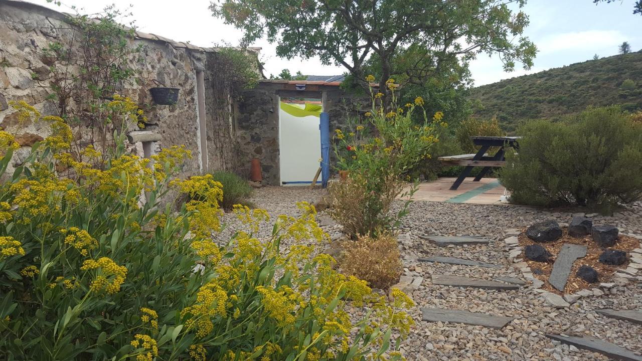 La Loubiere, Ancienne Bergerie En Pleine Garrigue Panzió Fraissé-des-Corbières Kültér fotó