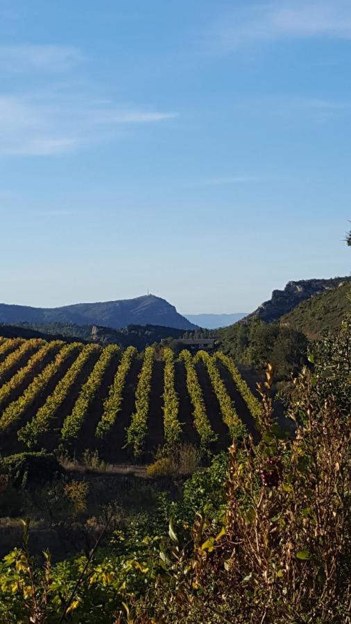 La Loubiere, Ancienne Bergerie En Pleine Garrigue Panzió Fraissé-des-Corbières Kültér fotó