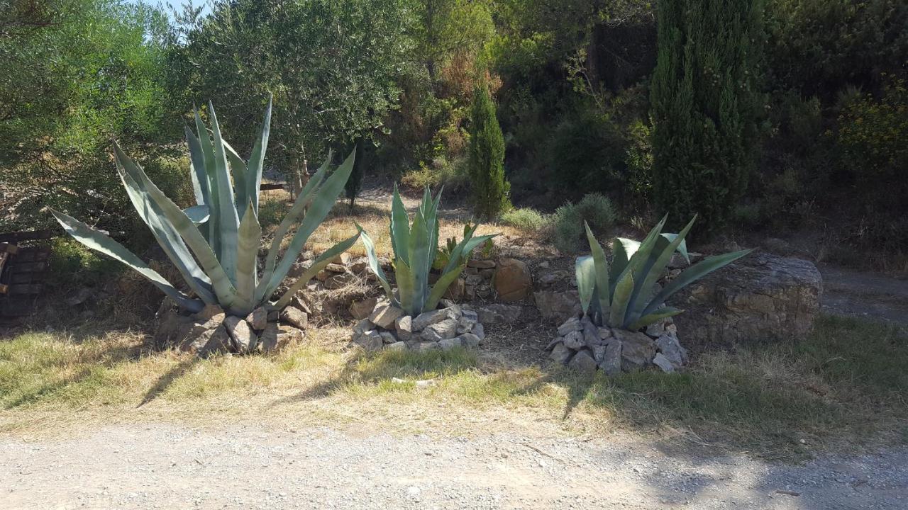 La Loubiere, Ancienne Bergerie En Pleine Garrigue Panzió Fraissé-des-Corbières Kültér fotó